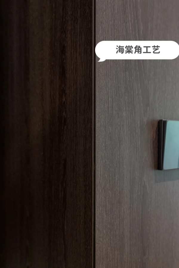 一个人的大平层，猫狗双全，太幸福！——兔宝宝全屋定制实拍
