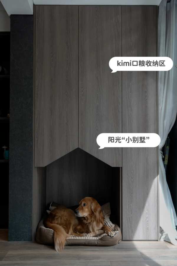 一个人的大平层，猫狗双全，太幸福！——兔宝宝全屋定制实拍