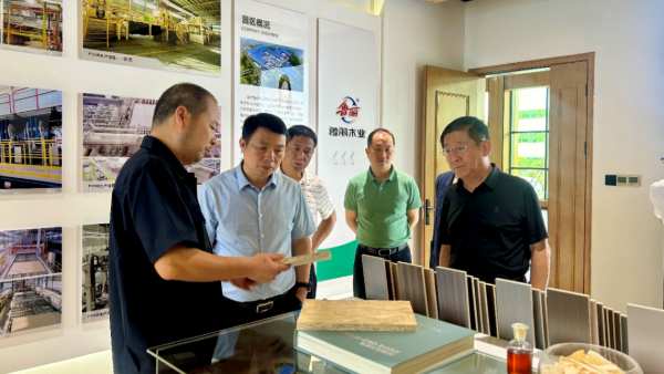 湖南省工信厅副厅长刘卫东莅临湖南鲁丽木业开展调研工作