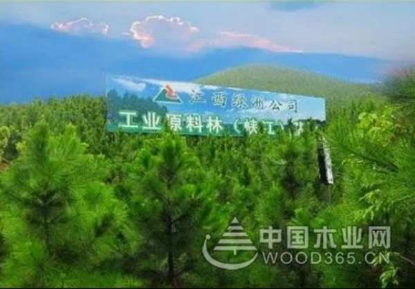 绿洲木业：品质源于好原料，健康源自好板材！