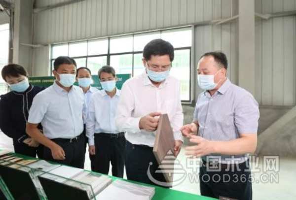 经年流转千古韵  匠心熔铸“香杉魂”  ——访广西壮象木业有限公司董事长叶新忠