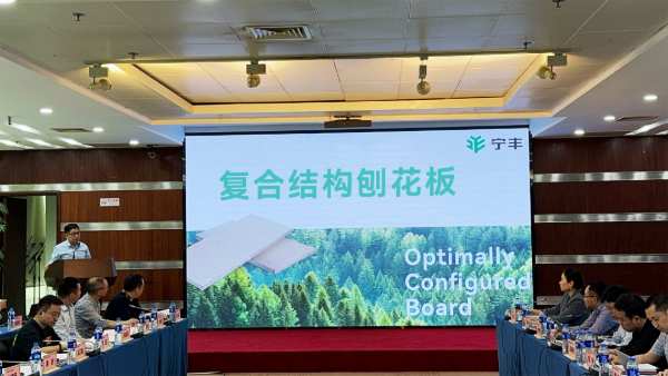 宁丰复合结构刨花板创新成果发布
