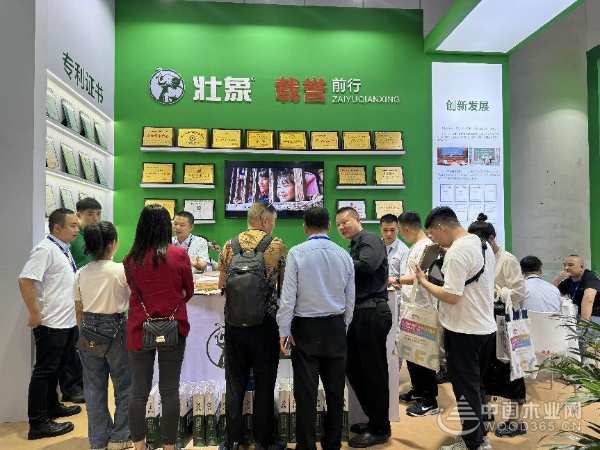 专注香杉健康家居 壮象木业精彩亮相成都建博会