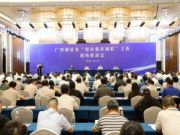 丰林集团代表广西高端绿色家居产业就高端绿色家居企业数字化转型作经验分享