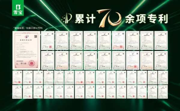 专注品质·不负信赖，雪宝斩获“全国板材行业质量领先品牌”4项国字号质量荣誉！