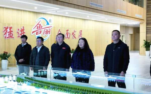 国家林草局巡视员靳爱仙莅临江西鲁丽木业开展调研工作
