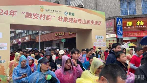 不负春光！千人开跑！“融安村跑”壮象迎新登山跑步活动圆满举行