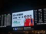 抢跑新春营销 世林正弘高铁站广告强势上线