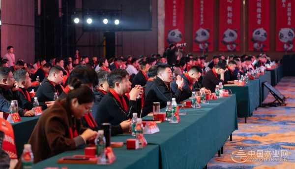 共见向新力·质胜新未来 I 团团圆圆板材启程2024营销年会圆满举办