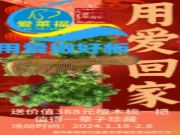 有爱有福 爱莱福温情开启“用爱回家”春节活动