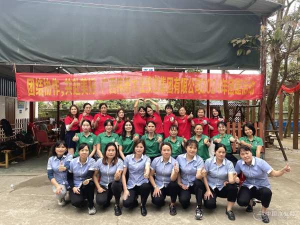 团结协作•共赴美好！广西伟新木业投资集团第三期团建活动精彩不断！