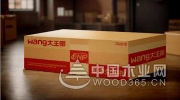 25岁正青春，板材界的新“板王”拥抱变革焕新出发