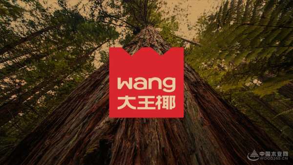 25岁正青春，板材界的新“板王”拥抱变革焕新出发