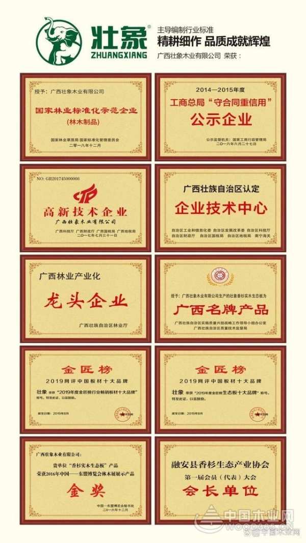 壮象荣获第 一届世界林木业大会优质产品金奖