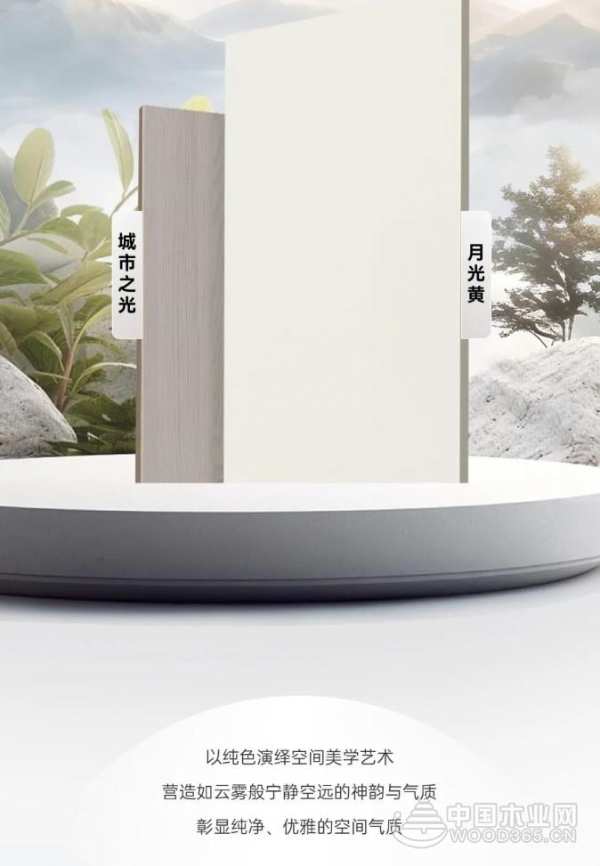 档案解密：团团圆圆十五年！