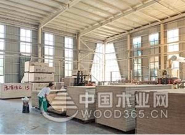 名闻板材：只做好板材，传递生活好品质！