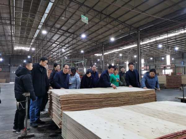 广西科技“抗划超韧浸渍胶膜纸界面强化关键技术研发及应用”启动会在伟新木业投资集团隆重召开