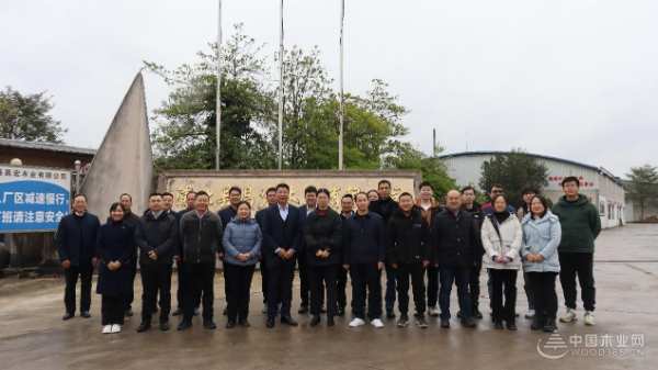 广西科技“抗划超韧浸渍胶膜纸界面强化关键技术研发及应用”启动会在伟新木业投资集团隆重召开