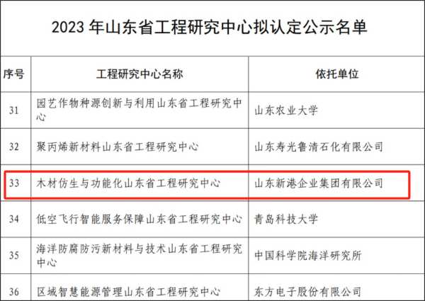 喜讯！新港集团木材仿生与功能化山东省工程研究中心通过省级认定！