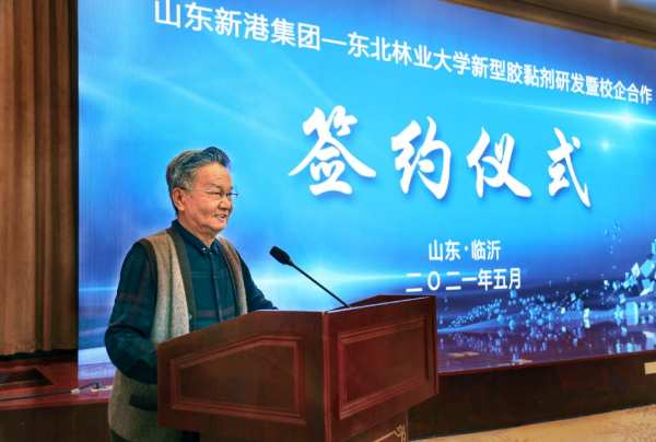 喜讯！新港集团木材仿生与功能化山东省工程研究中心通过省级认定！