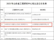 喜讯！新港集团木材仿生与功能化山东省工程研究中心通过省级认定！