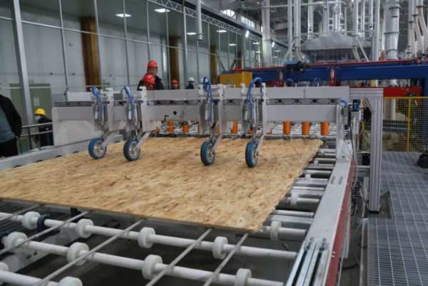 谱新篇·开新局——鲁丽集团江西生产基地投产 以进促稳、迈向全国