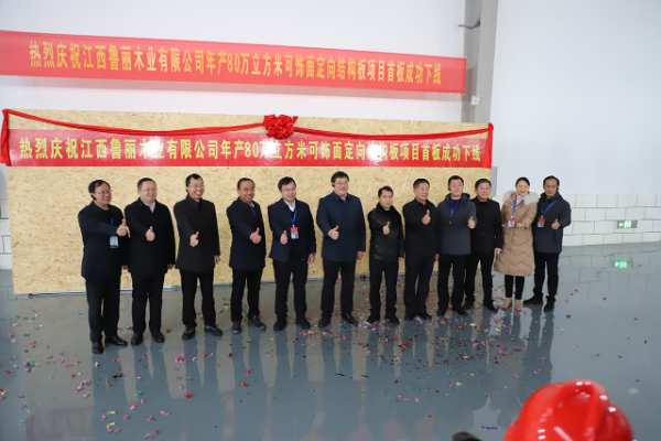 年产80万立方米！ 江西鲁丽首条FOSB生产线正式投产！