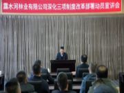 公司召开深化三项制度改革部署动员宣讲会