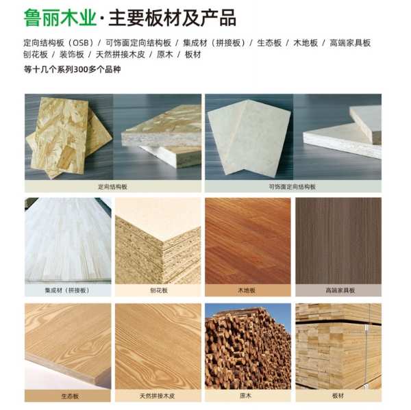 鲁丽木业以486㎡展位亮相2024长沙板材订货会，拓展国内外市场