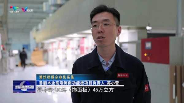 鲁丽集团：深挖潜能优势 创新发展路径 打造冶金木业“双千亿”