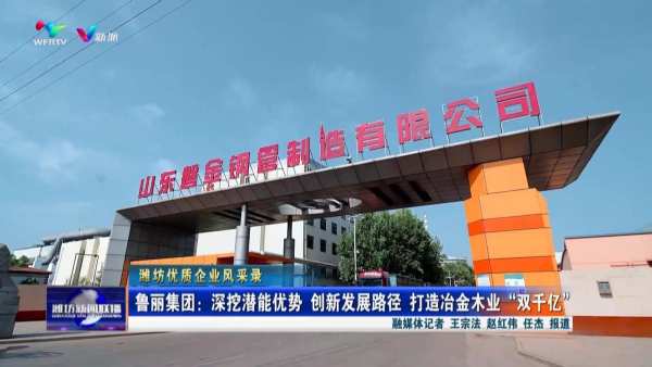 鲁丽集团：深挖潜能优势 创新发展路径 打造冶金木业“双千亿”