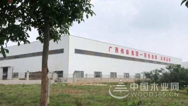 病魔无情 同僚有爱 伟新木业投资集团爱心捐助暖人心