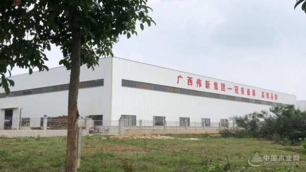 喜报！广西伟新投资集团实验室通过2023年全国林产品检验检测能力验证！