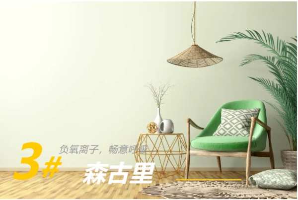 龙牌+泰山+梦牌，北新石膏板家族用绿色科技为您打造品质生活