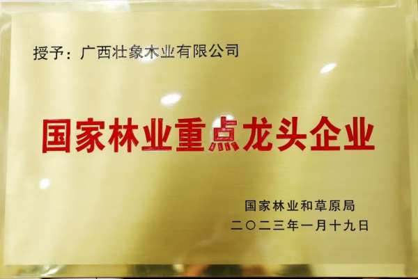 祝贺广西壮象木业有限公司获“国家林业重点龙头企业”殊荣