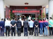 祝贺广西壮象木业有限公司获“国家林业重点龙头企业”殊荣