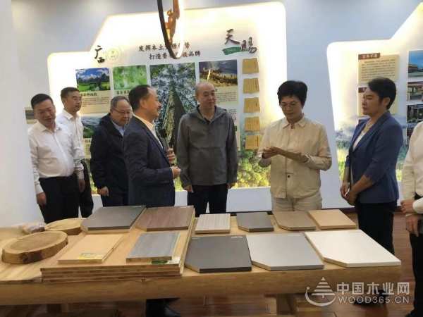 广西自治区领导一行调研考察壮象木业