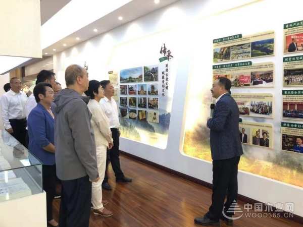广西自治区领导一行调研考察壮象木业