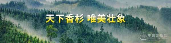 展位号A2馆TB13 壮象与您相约武汉定制家居展览会