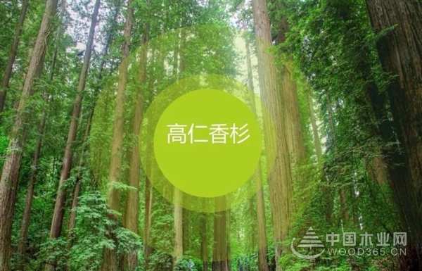 盘点2023板材消费者信赖十大品牌，你知道有哪些？