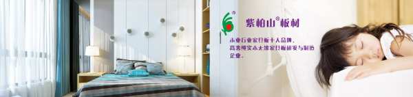 2023中国板材十大品牌 哪些是最 受欢迎的家具板十大品牌