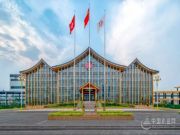 行业影响力进一步提升！2023中国板材十大品牌绝对是家装的首 选！
