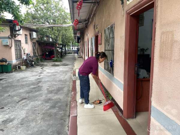 助力焕新颜 广西伟新木业投资集团开展“环境清洁日”活动