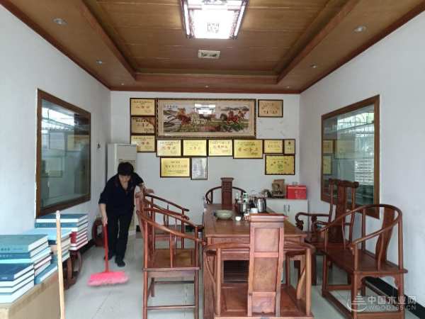 助力焕新颜 广西伟新木业投资集团开展“环境清洁日”活动