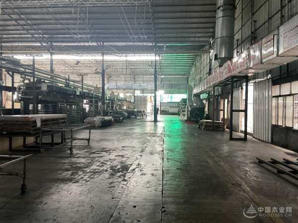 助力焕新颜 广西伟新木业投资集团开展“环境清洁日”活动