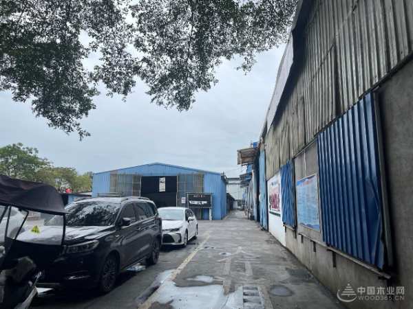 助力焕新颜 广西伟新木业投资集团开展“环境清洁日”活动