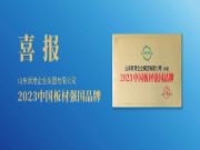强国品牌 实力共鉴 | 新港集团荣获“2023中国板材强国品牌”
