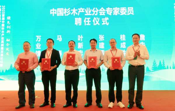壮象董事长叶新忠被聘为中国杉木产业分会首任轮值会长和专家委员