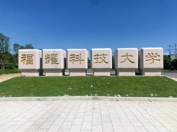 坚持国货之本，大王椰匠心打造国民安心板材