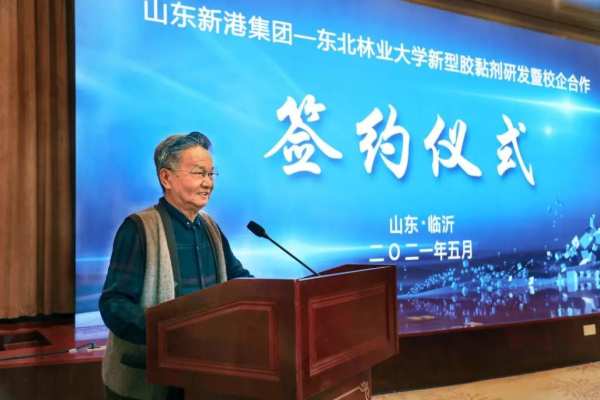 板材品牌迎来C端营销新纪元，解锁新港仿生精板把店开进万达的底气！